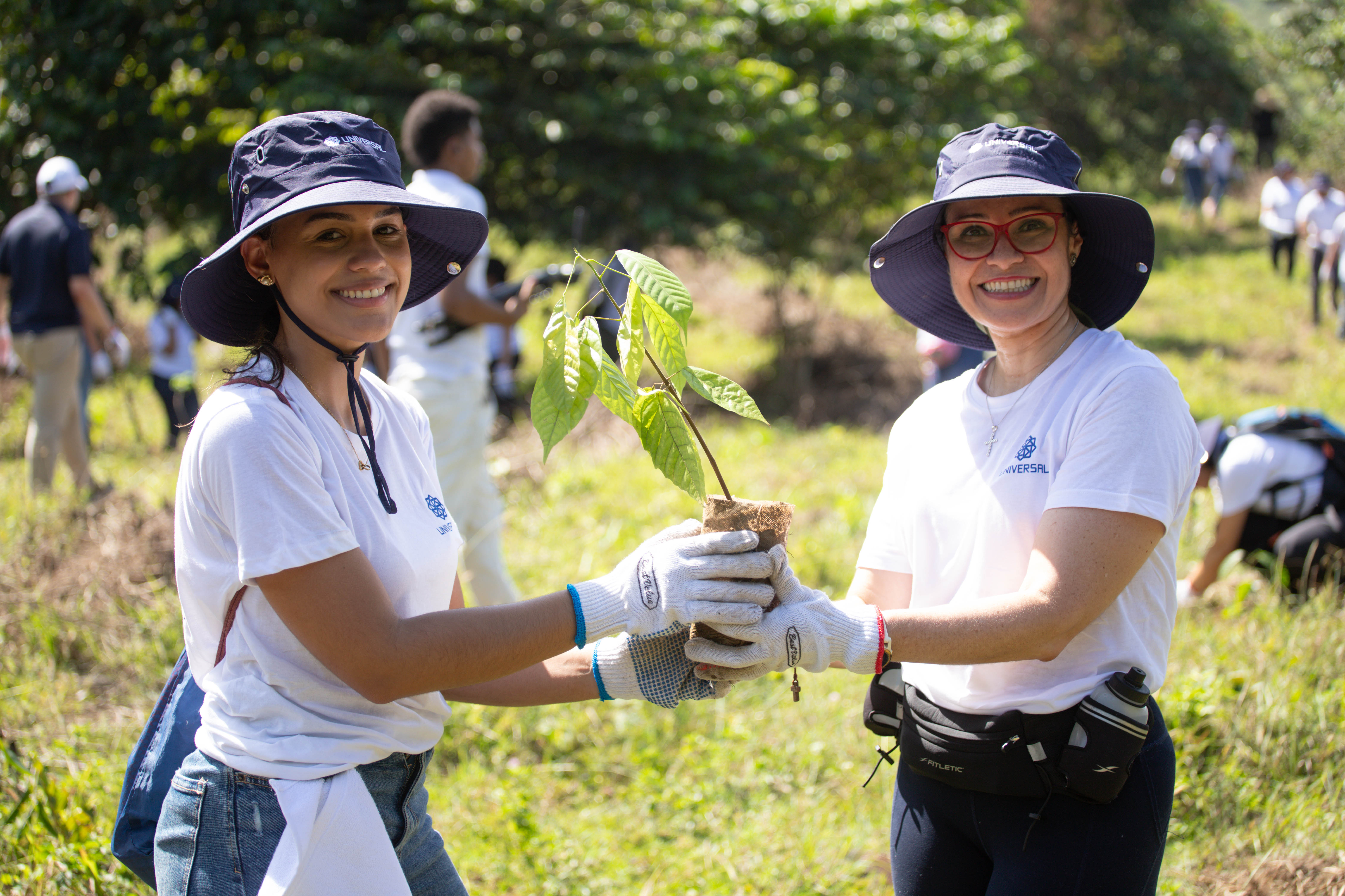 Reforestacion